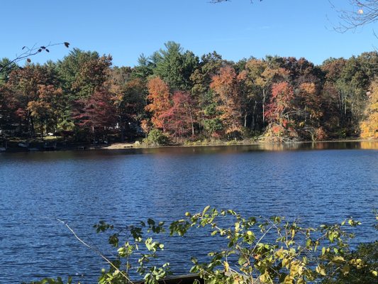 Beautiful autumn leaves  over lake