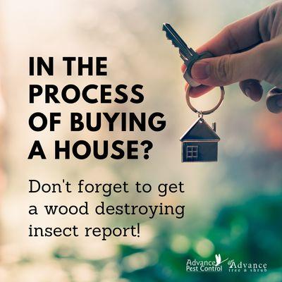 Wood destroying insect reports are official NC documents are a great service to have when buying a home - whether it is required or not!