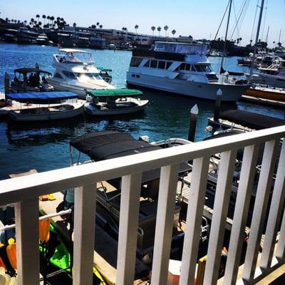 Newport Harbor View