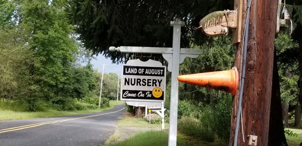 Visit the home of Land of August. Nursery.