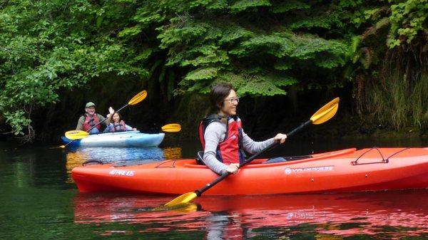 Kayaking by Redwood Trees on the Noyo River