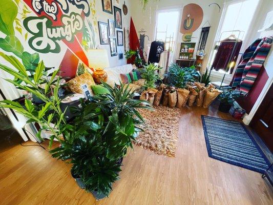 Plant restock, indoor plants, bright welcome to the jungle mural and small maker products