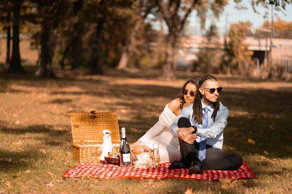 elopement picnic