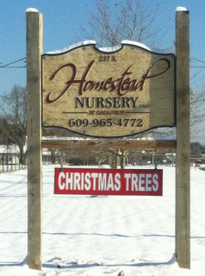 Choose and Cut Christmas Trees, Pre-Cut Fraser Fir, Handmade Wreaths and Grave Blankets