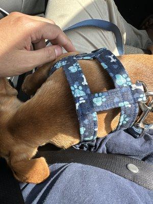 The harness on my guy fits so perfect!!