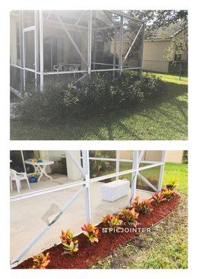 Before and after plant removal and installation