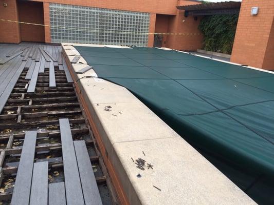 Our rooftop pool left like this for months - water allowed to collect on the roof.