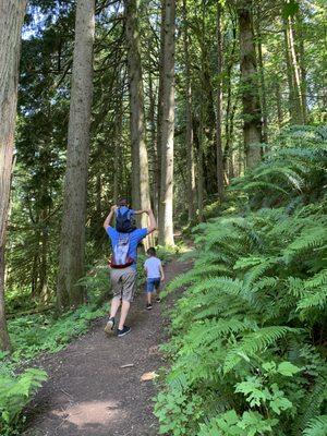 Hiking in the forest