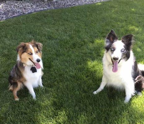 Dr. Marlie Johnson's fan club, Cody and Finn.