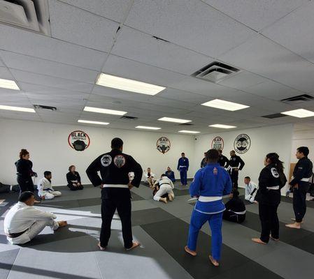 Adult brazilian jiu jitsu (BJJ) fundamental classes (beginners & advanced practitioners)