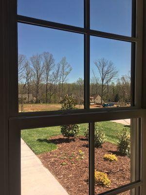 Carolina Premier Window Films