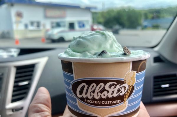 Mint Oreo Custard