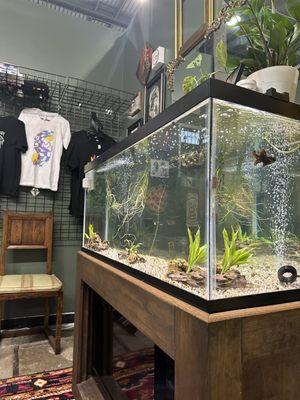 Fish tank to keep you entertained while you wait for an artist to take care of your tattoo dreams!