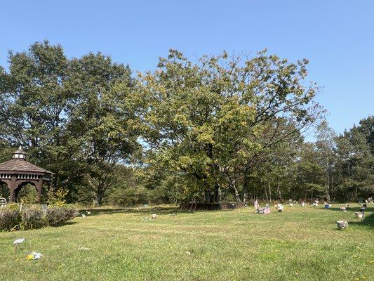 Cemetery.