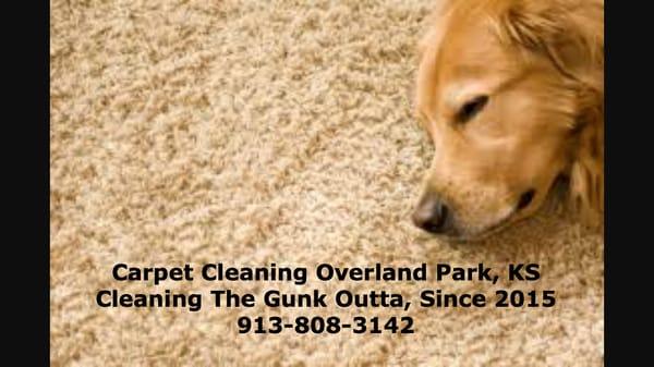 Carpet Cleaning Overland Park