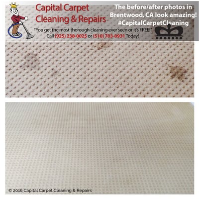 The Before/After photos from this Brentwood, CA home are amazing! Honest & trustworthy carpet cleaners in the East Bay!