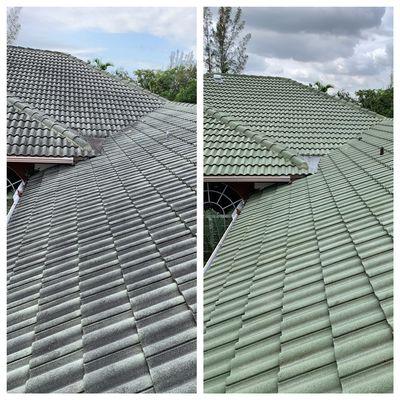 Roof cleaning