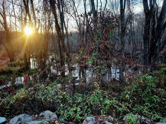 Pennypack Trail - Welsh Road Trailhead