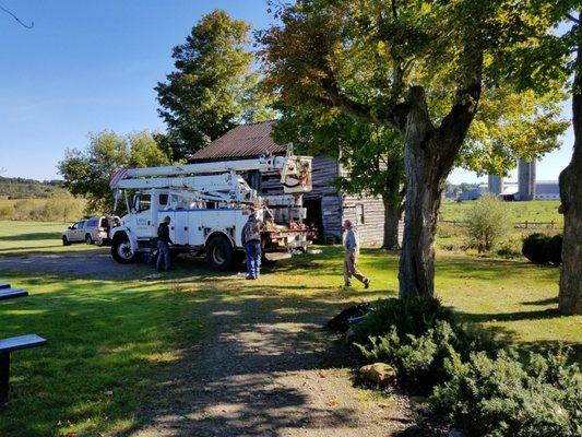 R BENTLEY TREE SERVICE