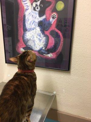 My cat LOVES the doctors here, and enjoys the artwork while she waits.