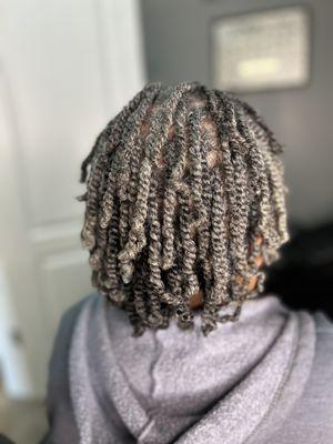 Two Strand Twist