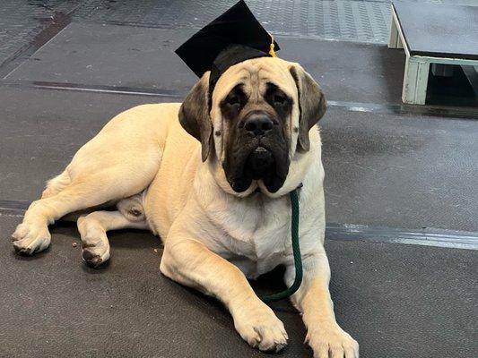 Koba's graduation at Kurtz K-9