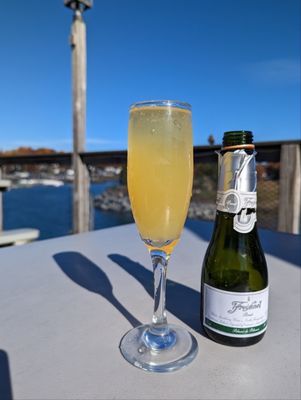 Mimosa