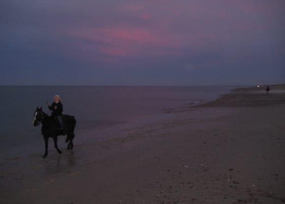 Cape Cod ride at Sandy Neck Park