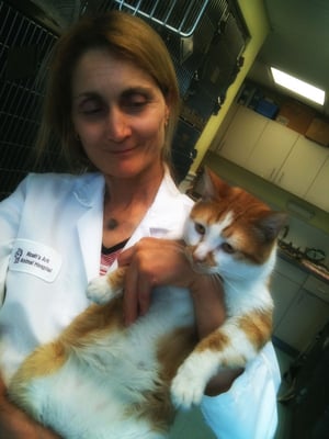 Dr Catherine Murphy
aka Dr Kitty