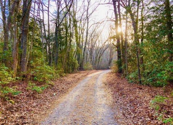 Harold N. Peek Preserve