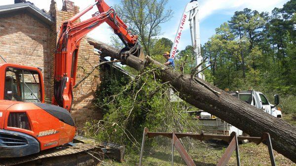 J-W Tree Service