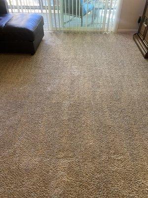 My carpet after the cleaning