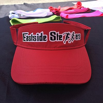 Custom Track Visor