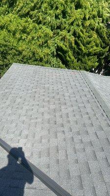 Solid Roofing