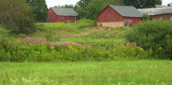 View from north pasture