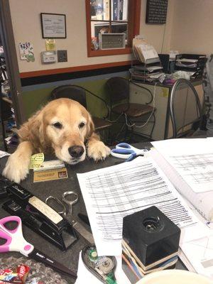 Working the front desk!