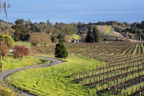 Welcome to the heart of the wine country in Healdsburg, CA