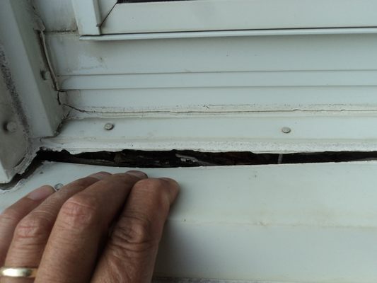 Rotten wood under aluminum window trim