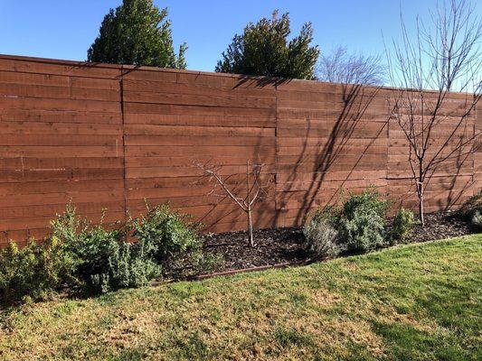 Cedar fencing - 8 foot horizontal