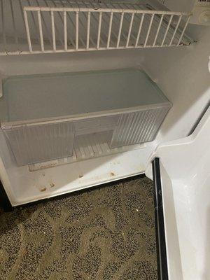 The fridge and microwave were both filthy! This pic was taken when we arrived.