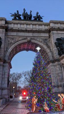 The Christmas Tree at Grand Army Plaza.