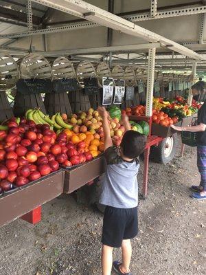 Lots of fresh picked produce.