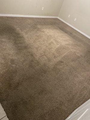 Carls’s Professional Carpet Cleaning