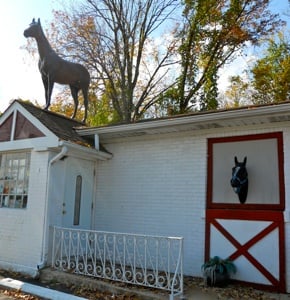 The fun place to shop for horse supplies since 1974