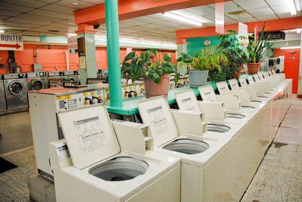 Holland's 24 Hour Laundromat Inside 1