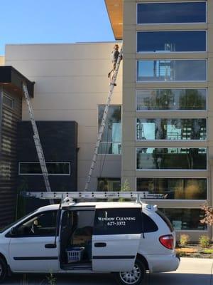 Wayne's Window Cleaning