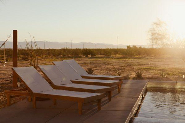 Joshua Tree outdoor