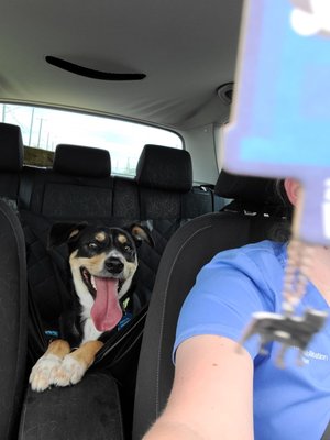 Happy boy leaving the groomer and showing off his pedicure