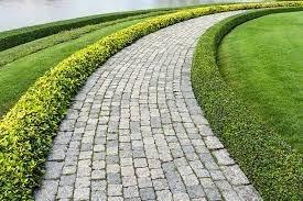 Paver and Landscape