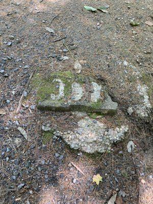 Exposed cinder blocks